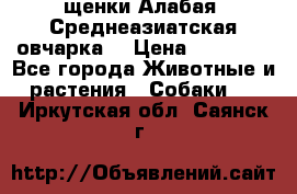 щенки Алабая (Среднеазиатская овчарка) › Цена ­ 15 000 - Все города Животные и растения » Собаки   . Иркутская обл.,Саянск г.